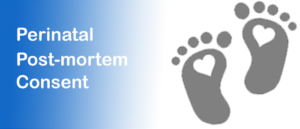 Perinatal Post Mortem Consent