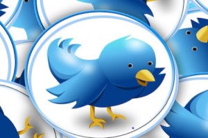 A computer designed blue bird that was the Twitter logo.