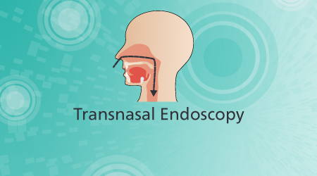 Transnasal Endoscopy (TNE)